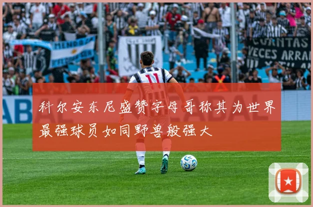 科尔安东尼盛赞字母哥称其为世界最强球员如同野兽般强大