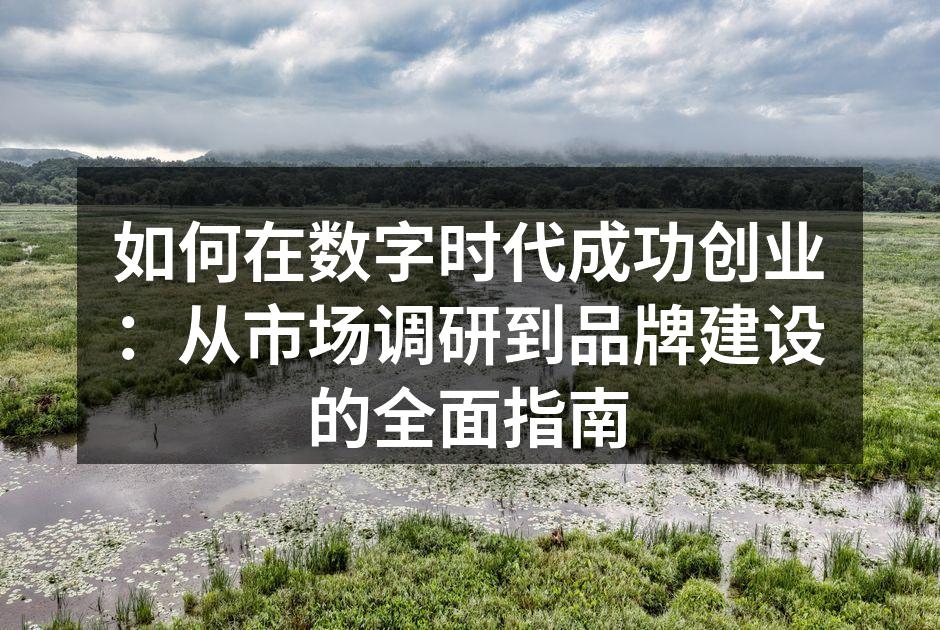 数字时代的创业机会与挑战