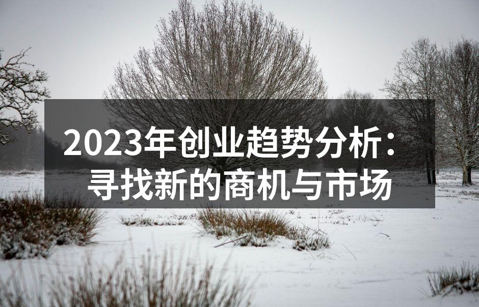 2023年创业趋势分析